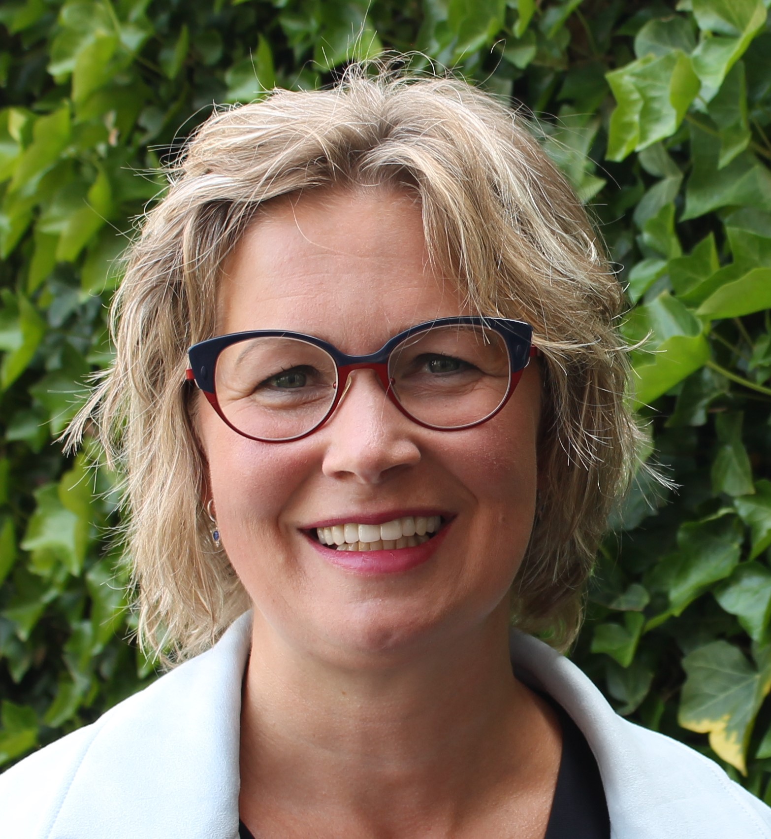 Overlapping Section Image